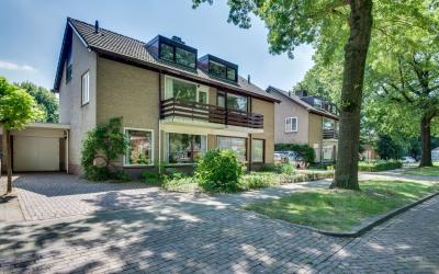 Wilhelminas. 74