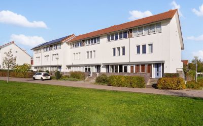 Zilvervlekp. 30