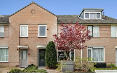 Heintje Dav. 14