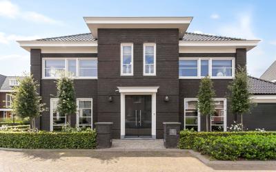 Oranje zegge 6