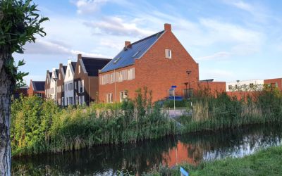Haagwinde 4