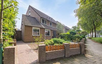 Groen van P. 65