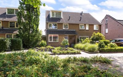 Groen van P. 77
