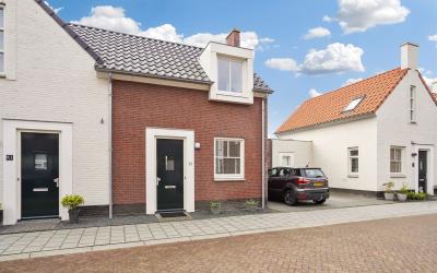 Pijlkruid 23