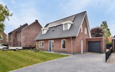 Pijlkruid 5