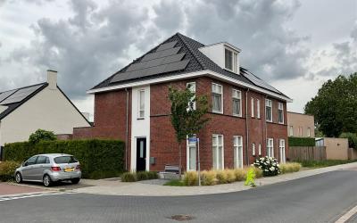 Lisdodde 2