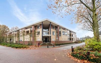 Dorpsveld 87