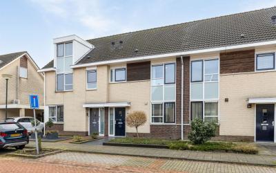 Hermelijnha. 47