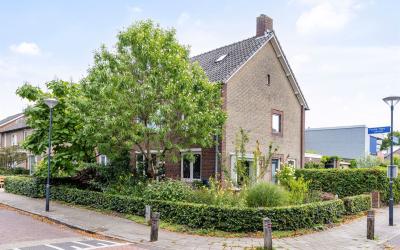 Frans Halss. 2