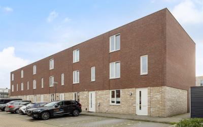 Jan van Ams. 65