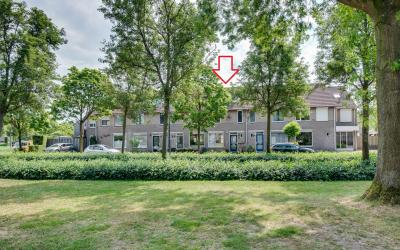 Dovenetelst. 7