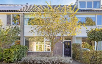 Oreliosingel 7