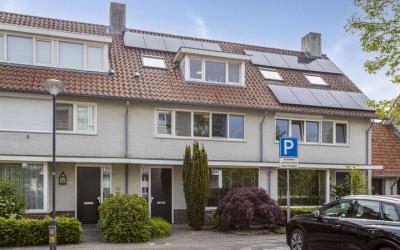 IJsvogel 28