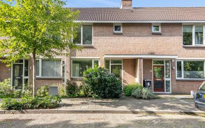 Leeuwerikst. 19