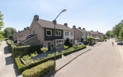 Vincent van. 9