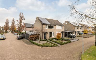 Lange Pad 40