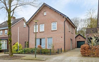 De Roerdomp 41