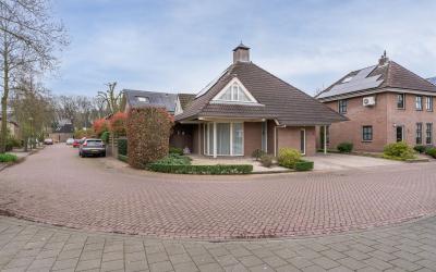 De Roerdomp 6