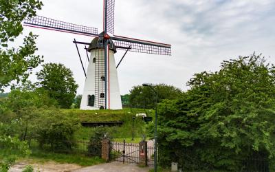 Genenberg 6
