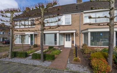 Zeterdonk 3