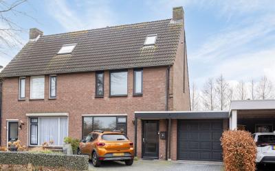 Kruidnagel 6
