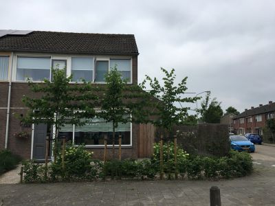 De Boogerd 12