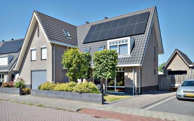 Koekoek 9