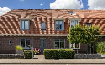 Bonte Specht 3