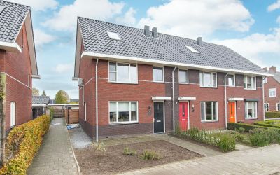 Sleutelbloe. 9