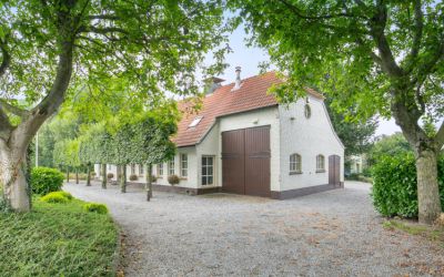 Molendijk 8