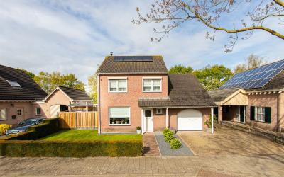 Geelrijs 13