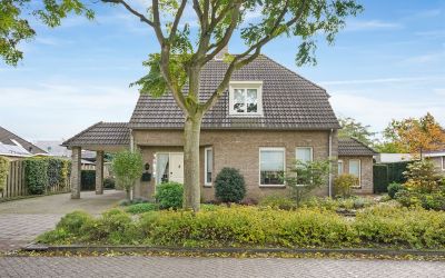 Geelrijs 30