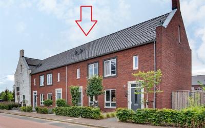 Zonnebaars 7