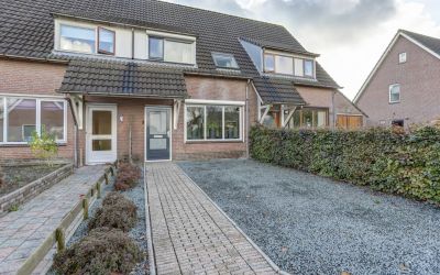 De Merel 4