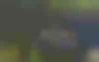Moleneind 2