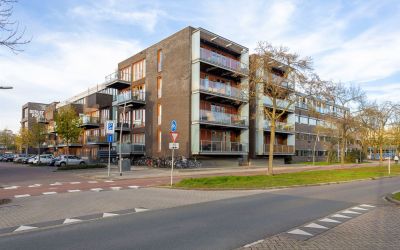 Kamperfoeli. 16-J