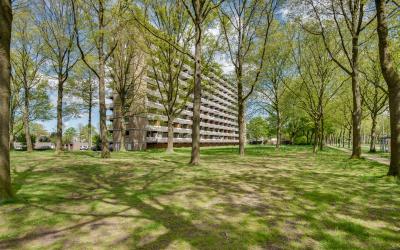 Lisztgaarde 204