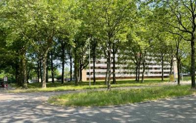 Lisztgaarde 236