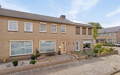 Groen van P. 24