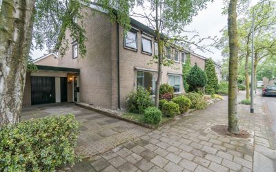 Adelaar 91
