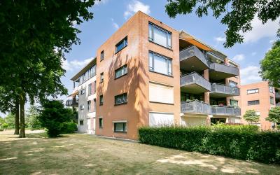 Kuipers-Rie. 21