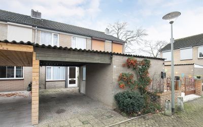 Goudplevier 61