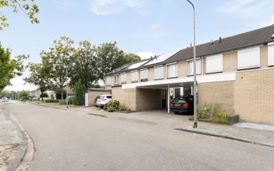 Goudplevier 108
