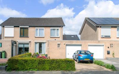 Goudplevier 72