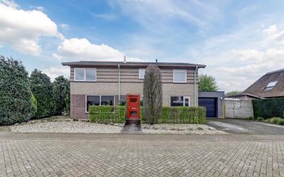 Vroegeling 16