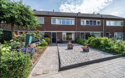 Molenstraat 19