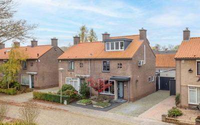 Paltzstraat 20