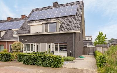 Boomgaard 11
