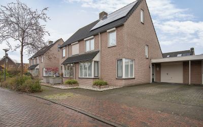 Andoorn 6