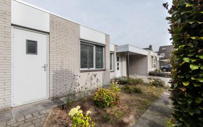 De Wikke 4